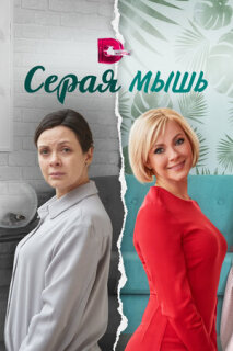 Постер сериала «Серая мышь»