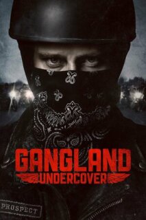 Постер сериала «Под прикрытием»