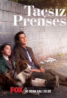Постер сериала «Принцесса без короны»
