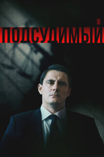 Постер сериала «Подсудимый»