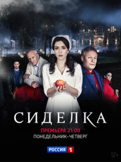 Постер сериала «Сиделка»