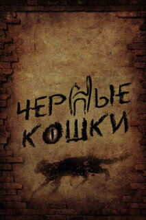 Постер сериала «Черные кошки»