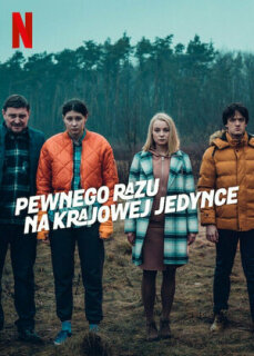 Постер сериала «Однажды на трассе»