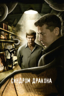 Постер сериала «Синдром дракона»