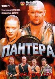 Постер сериала «Пантера»
