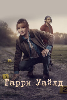 Постер сериала «Гарри Уайлд»