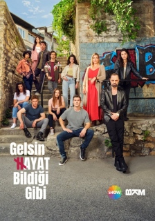 Постер сериала «Жизнь, как она есть»