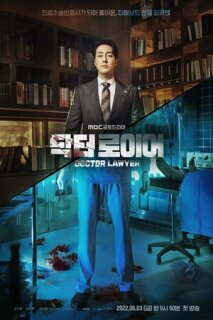 Постер сериала «Врач-адвокат»