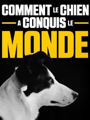 Как собаки и кошки захватили мир