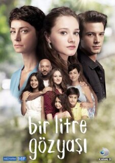 Постер сериала «Один литр слез»