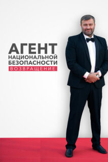 Постер сериала «Агент национальной безопасности. Возвращение»
