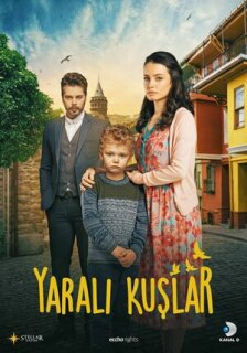 Постер сериала «Раненые птицы»