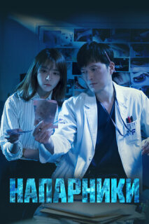 Постер сериала «Напарники»