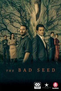 Постер сериала «Дурная кровь»