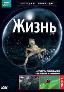 Постер сериала «BBC: Жизнь»