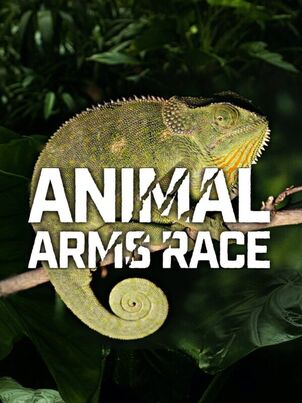 Животные: гонка вооружения
