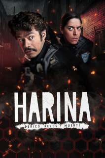 Постер сериала «Харина»