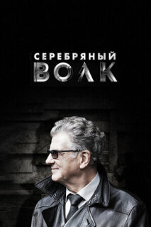 Постер сериала «Серебряный волк»