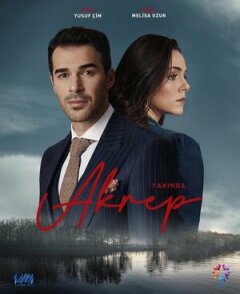 Постер сериала «Скорпион»