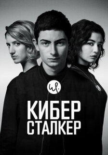 Постер сериала «Киберсталкер»