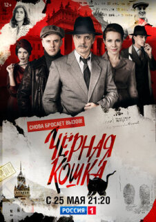 Постер сериала «Черная кошка»