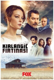Постер сериала «Шторм ласточки»
