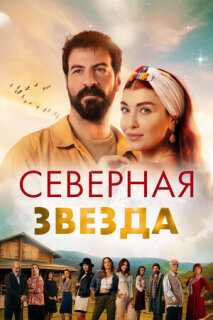 Постер сериала «Полярная звезда»