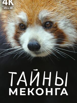 Постер сериала «Тайны реки Меконг»