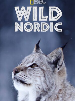 Постер сериала «Nat Geo Wild: Дикая Скандинавия»