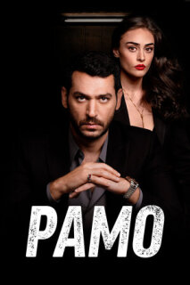Постер сериала «Рамо»