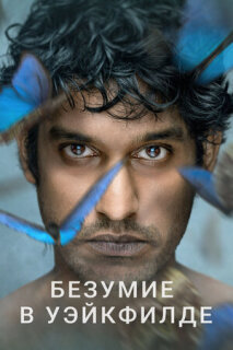 Постер сериала «Безумие в Уэйкфилде»