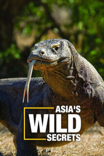 Nat Geo Wild: Тайны дикой Азии