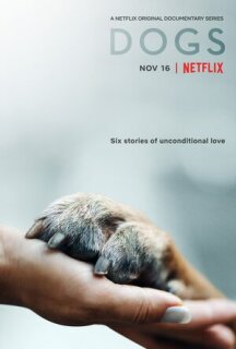 Постер сериала «Собаки»