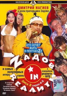 Постер сериала «Zадов in Rеалити»