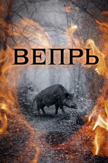 Постер сериала «Вепрь»