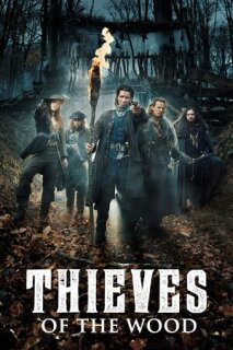Постер сериала «Лесные разбойники»