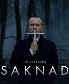 Постер сериала «Пропавшая»