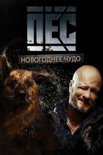 Постер сериала «Пёс. Новогоднее чудо»