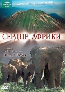 Постер сериала «BBC: Сердце Африки»