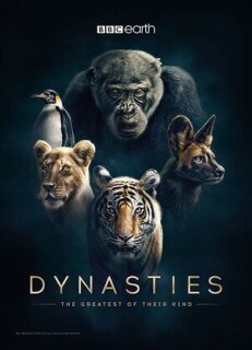 Постер сериала «Династии»
