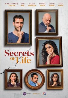 Постер сериала «Секреты жизни»