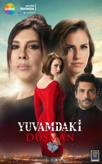 Постер сериала «Враг в моем доме»