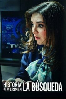 Постер сериала «Поиск»
