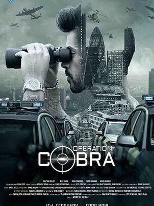 Постер сериала «Операция «Кобра»»