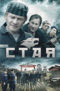 Постер сериала «Стая»