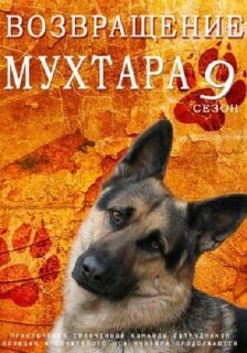 Постер сериала «Возвращение Мухтара 9»