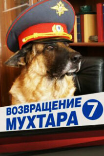 Постер сериала «Возвращение Мухтара 7»