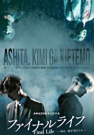 Постер сериала «Финальная жизнь»