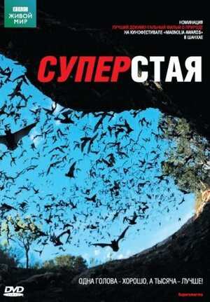 Постер сериала «BBC: Суперстая»
