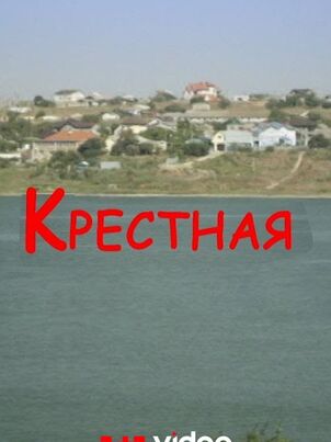 Постер: Крестная (2016)